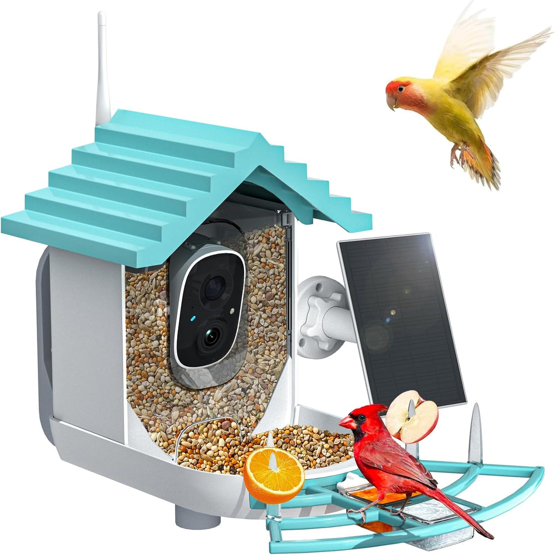 NAVFS Smart Bird Feeder with Camera Solar Powered & AI Bi rd