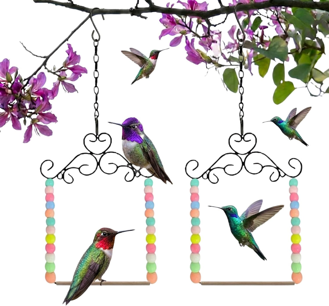 Hummingbird Swing & Perch for Outdoor