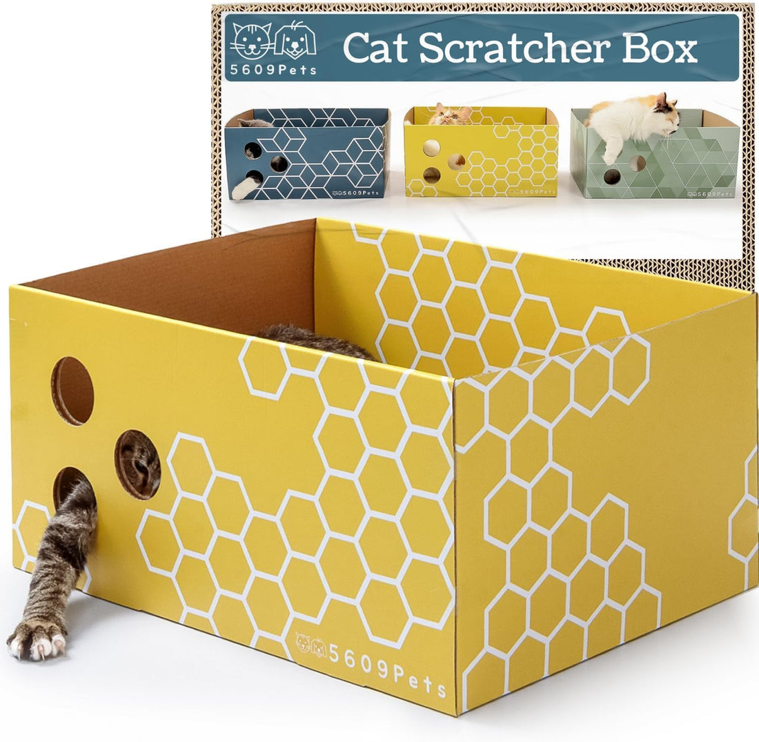 No-Mess Cardboard Cat Scratcher Box