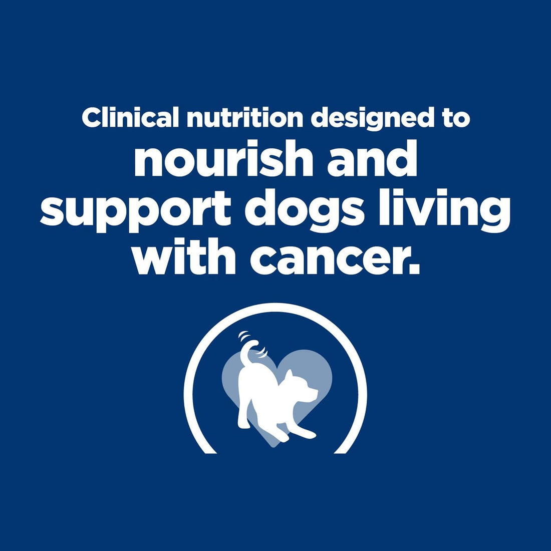 Hill's Prescription Diet ONC Care Wet Dog Food