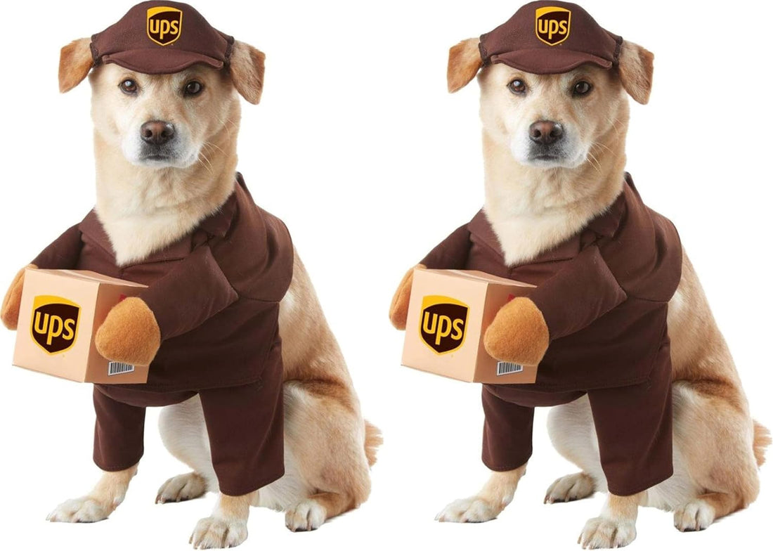 UPS Pal, Dog Costume