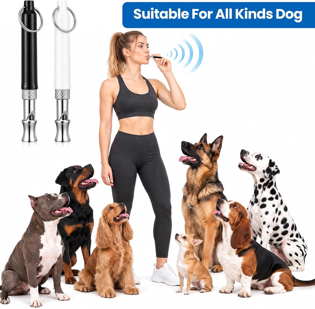 2 Pack Adjustable Ultrasonic Dog Whistle
