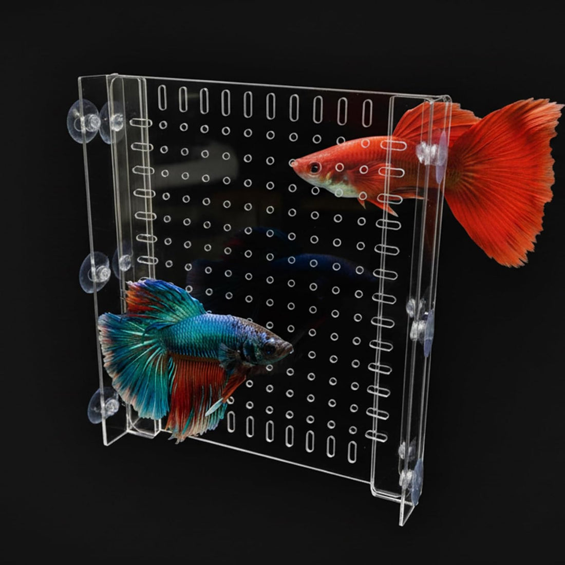Aquarium Divider 75/125 G, Acrylic Fish Tank Separator with Suction
