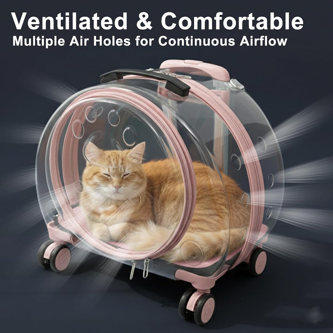 Transparent Hard Shell Cat Carrier with Wheels
