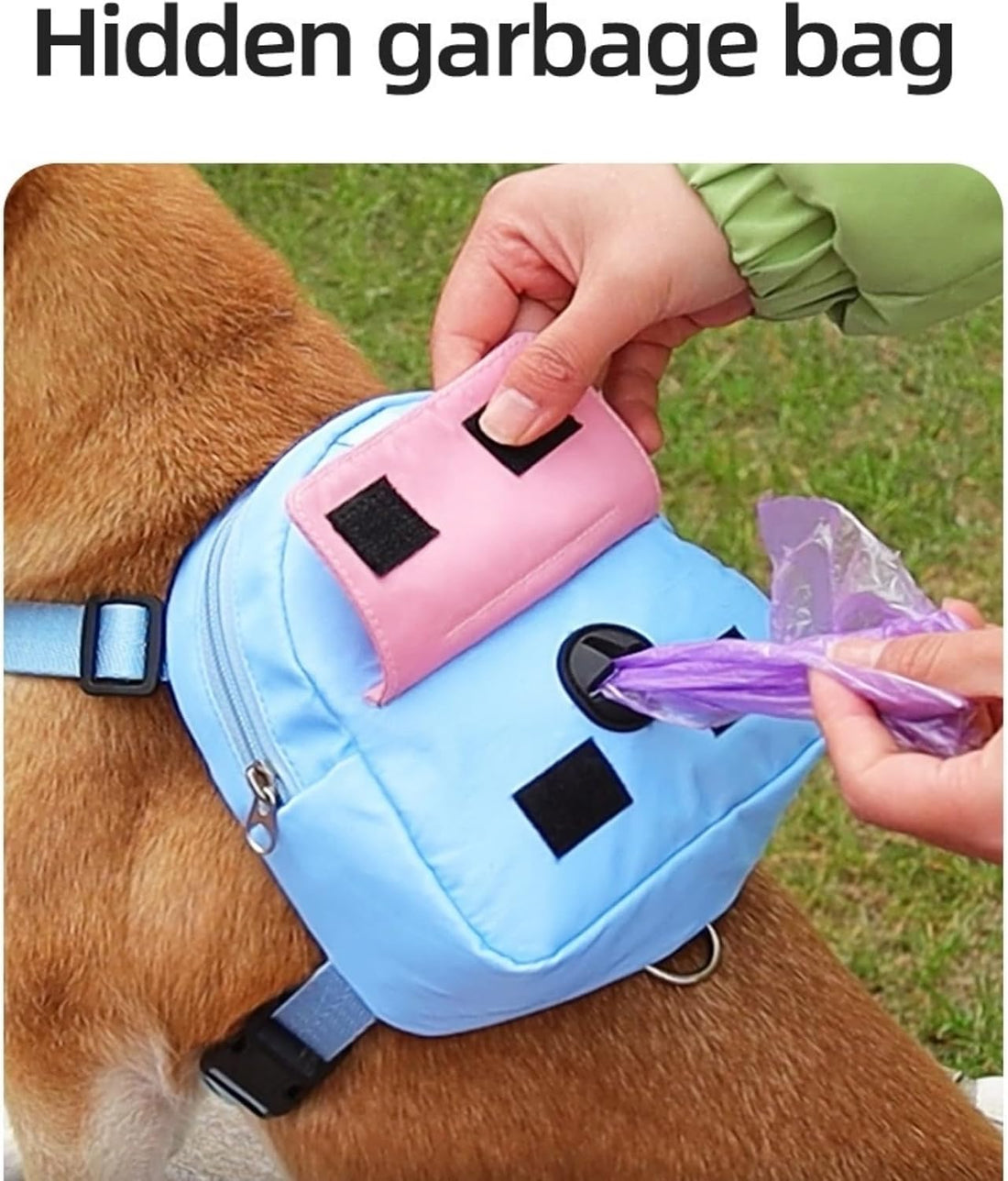Backpack for Small Dogs to Wear,Dog Backpack with Leash