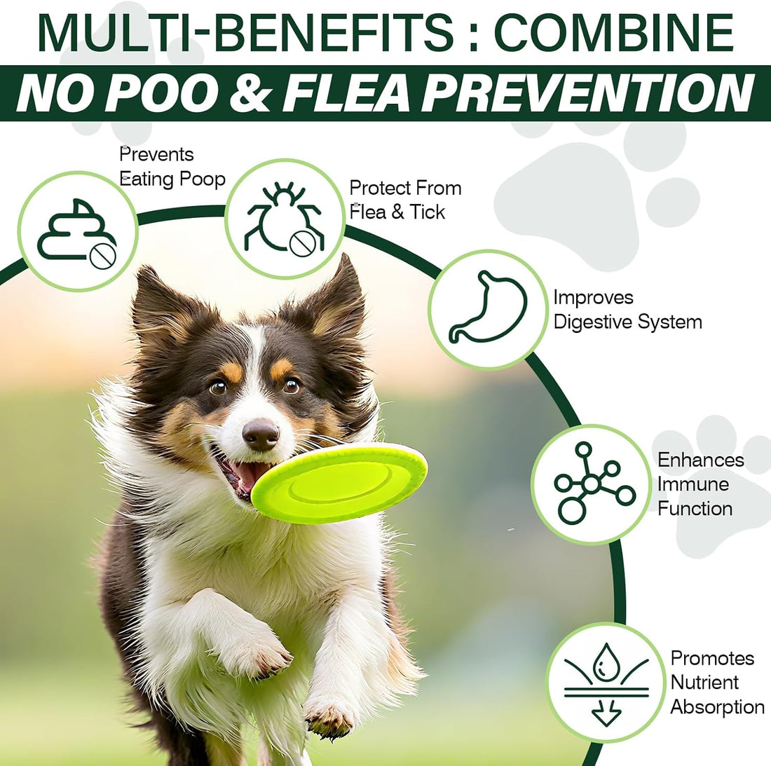 No Poo Chews for Dogs - Flea & Tick Prevention Supplement (200 Chews)