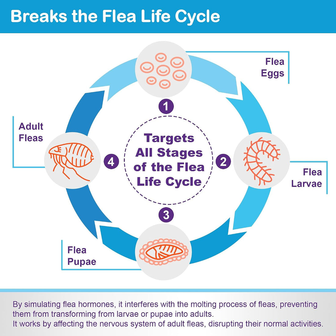 Topical Flea and Tick for Cats & Kittens