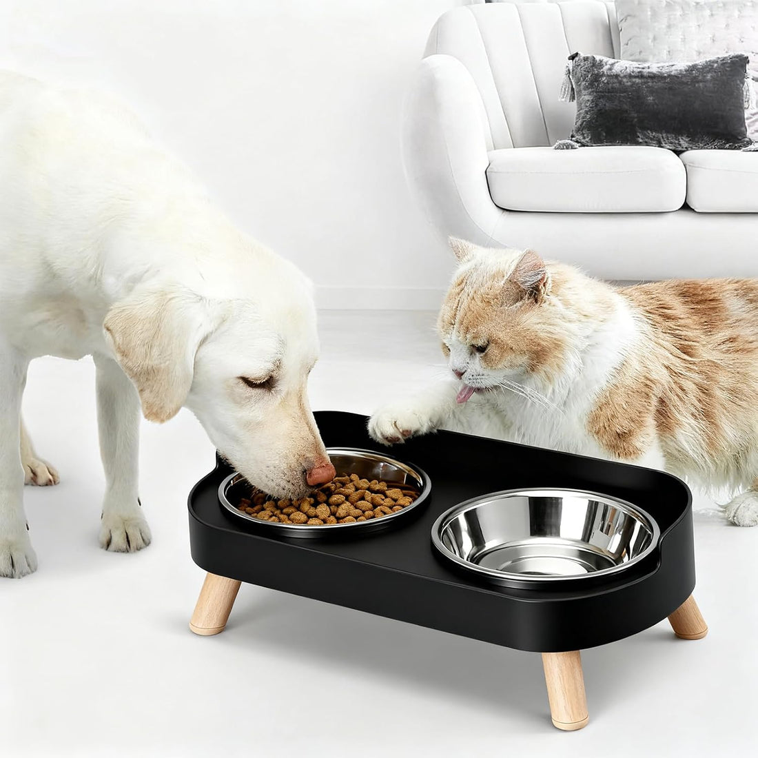 Elevated Cat Bowls, 2 Stainless Steel Raised Cat Food and Water Bowl