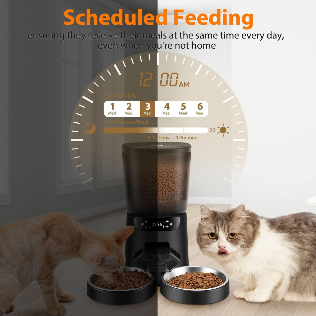 Automatic Cat Feeders for Two Cats