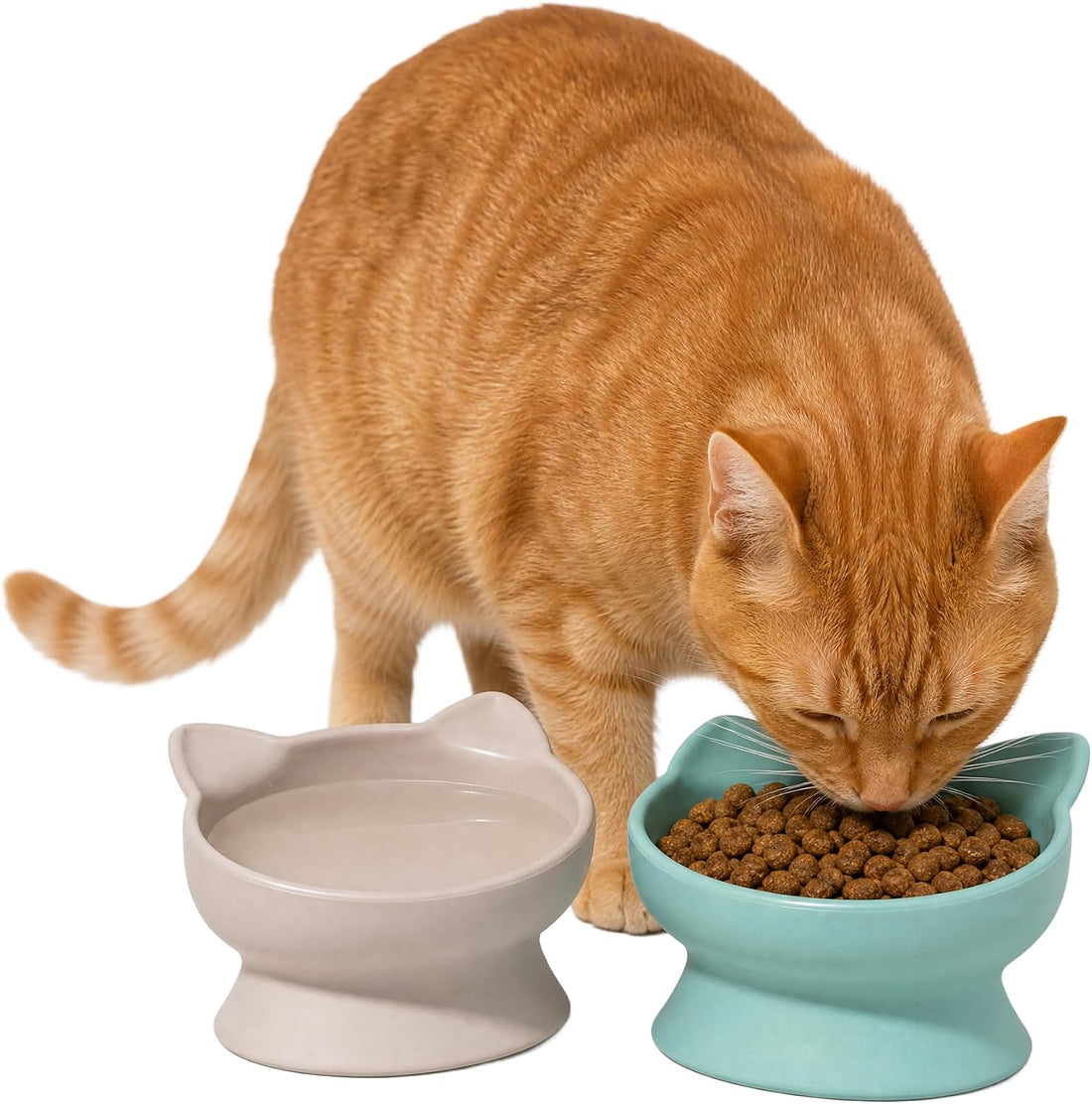 Kitty City Elevated Cat Bowls