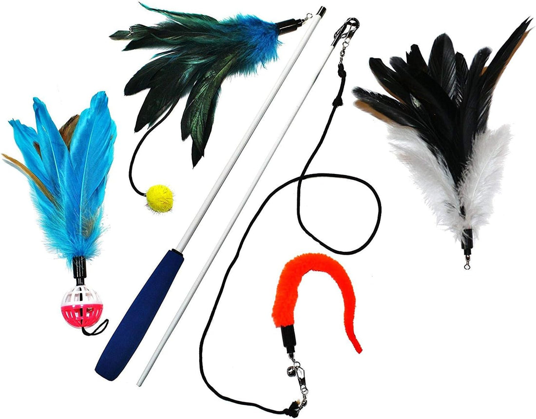 Pet Fit For Life Cat Wand Toy, 5-Piece Worm Teaser & Exerciser
