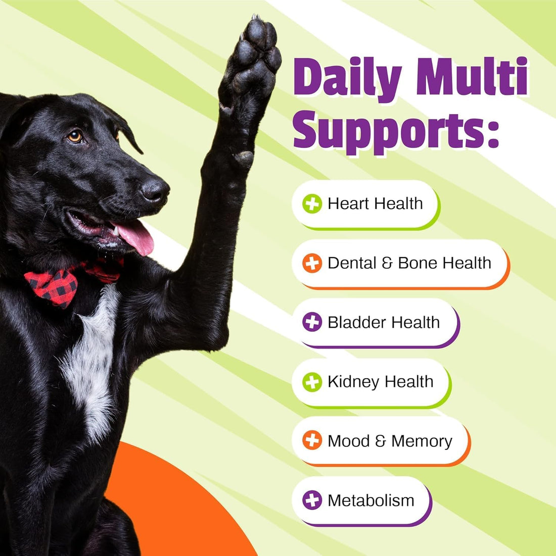Pet Naturals Daily Multivitamin for Dogs – 21 Essential Nutrients