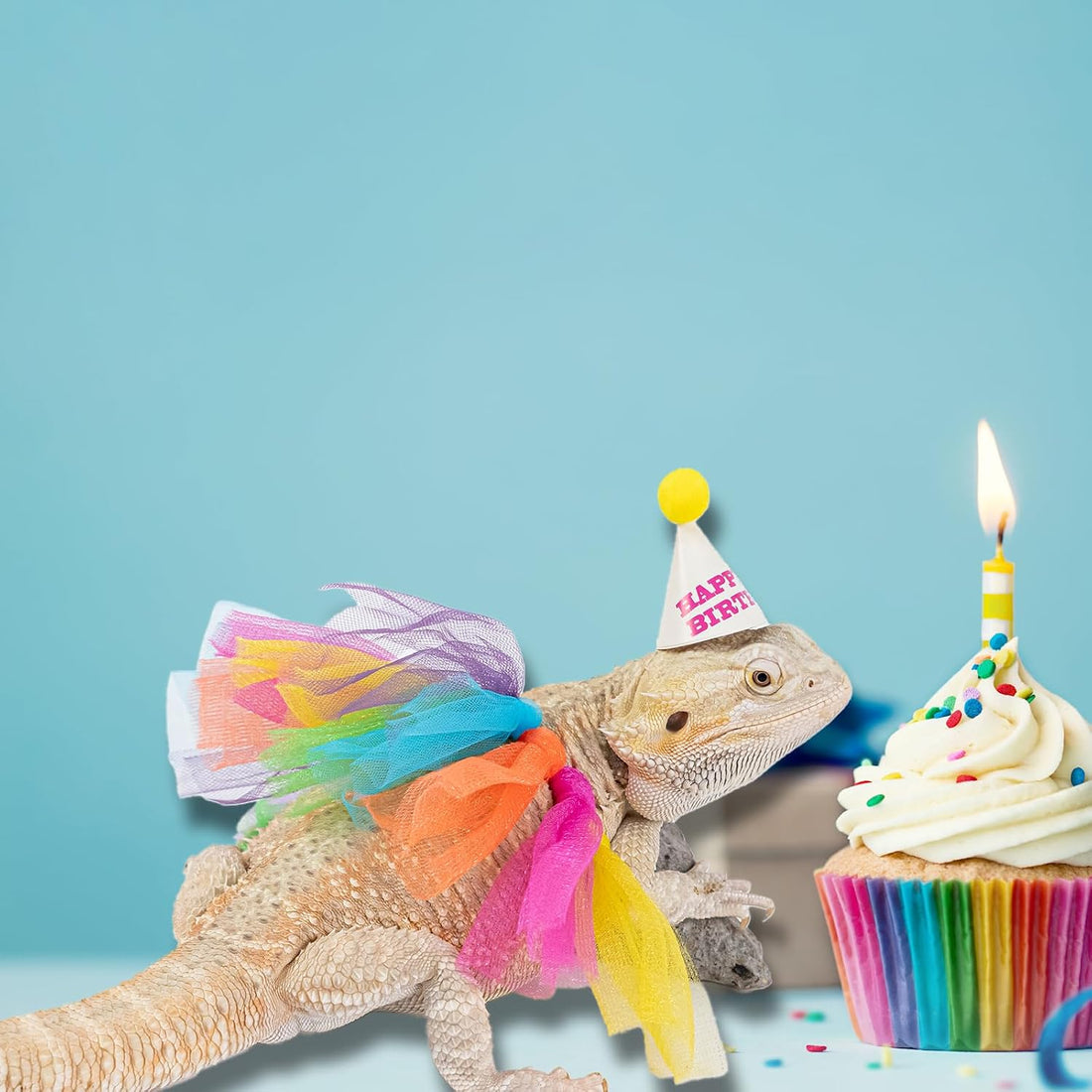 15Pcs Bearded Dragon Hats & Lizard Adjustable Tutu Skirt Set