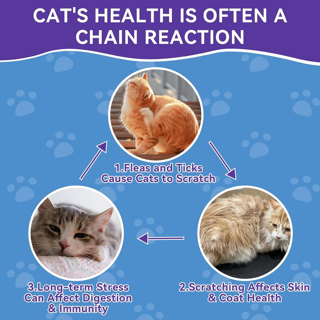 Flea and Tick Prevention for Cats - 500 Crunchy & Creamy Chews