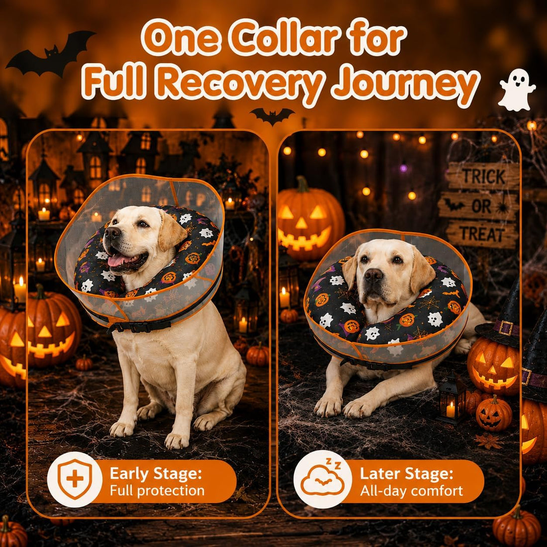 Avont 2-in-1 Dog Cone XL Halloween Shield