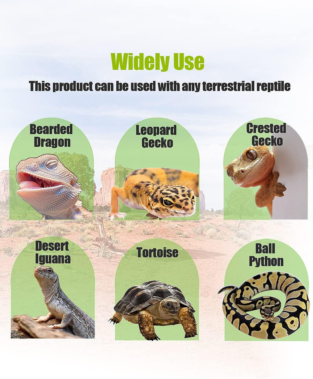 Bearded Dragon Tank Accessories, Reptile Substrate Floor