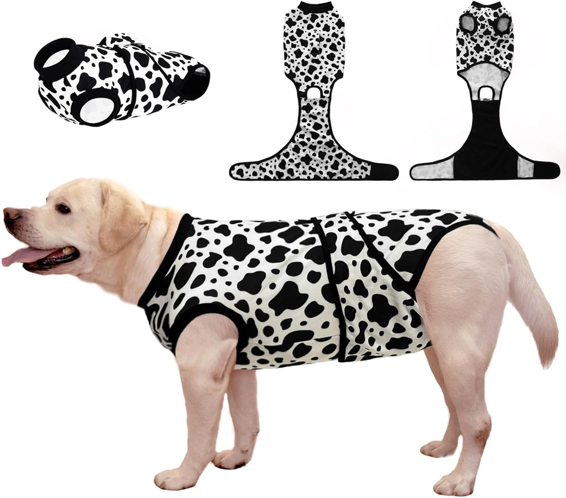Recovery Suit for Dogs After Surgery