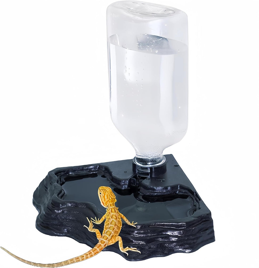 Lizard Bearded Dragon Water Bowl Dish Automatic Dispenser,17oz
