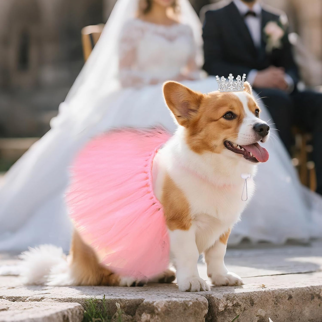 2 Pcs Dog Tutu Dress with Pearl Crown for Small Medium Pet Cat Dog