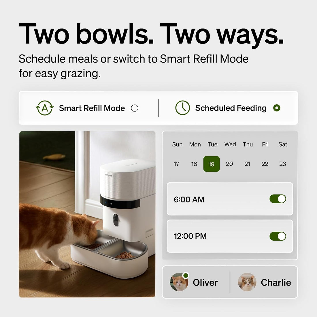 PETLIBRO Automatic Cat Feeder for 2 Cats