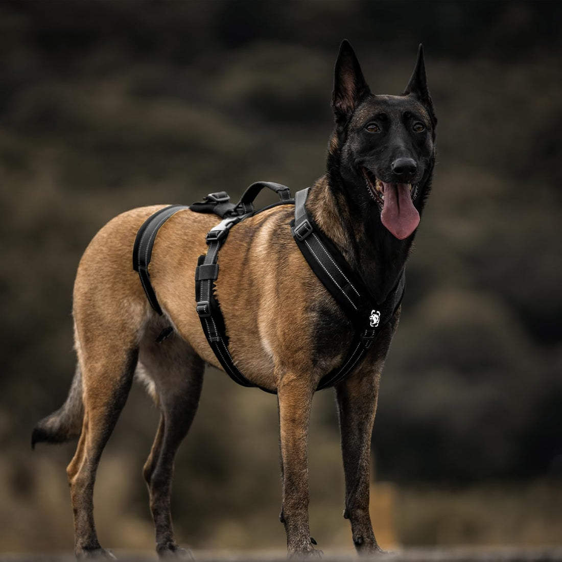 OneTigris Dog Harness No Pull Adjustable Tactical Harness with Soft