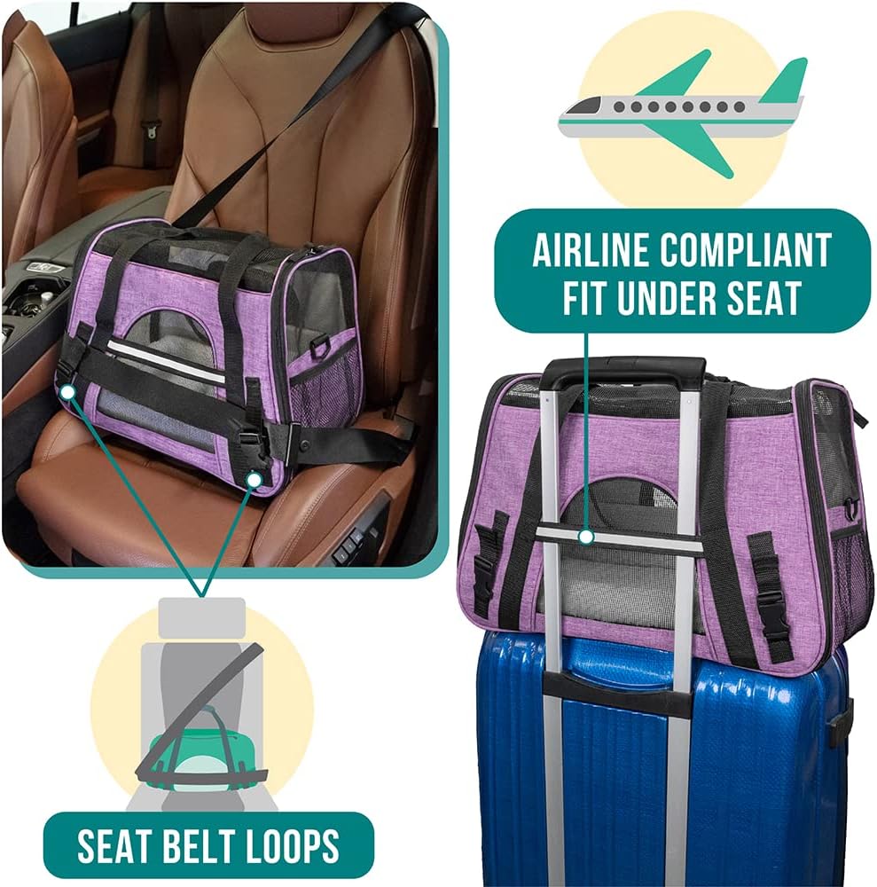 PetAmi Airline Approved Pet Carrier Cats & Small Dogs, Small
