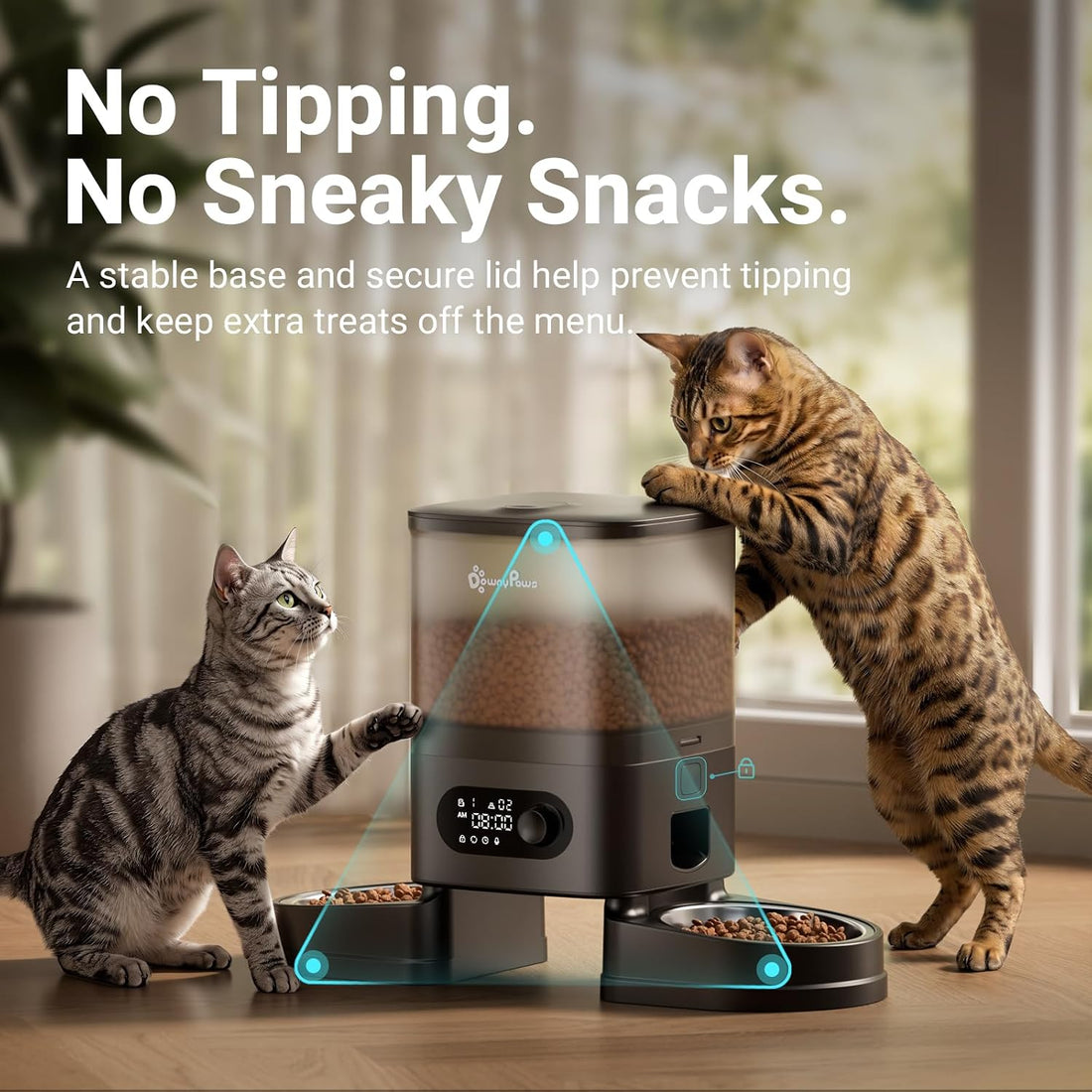 DownyPaws Automatic Cat Feeder 2 Cats