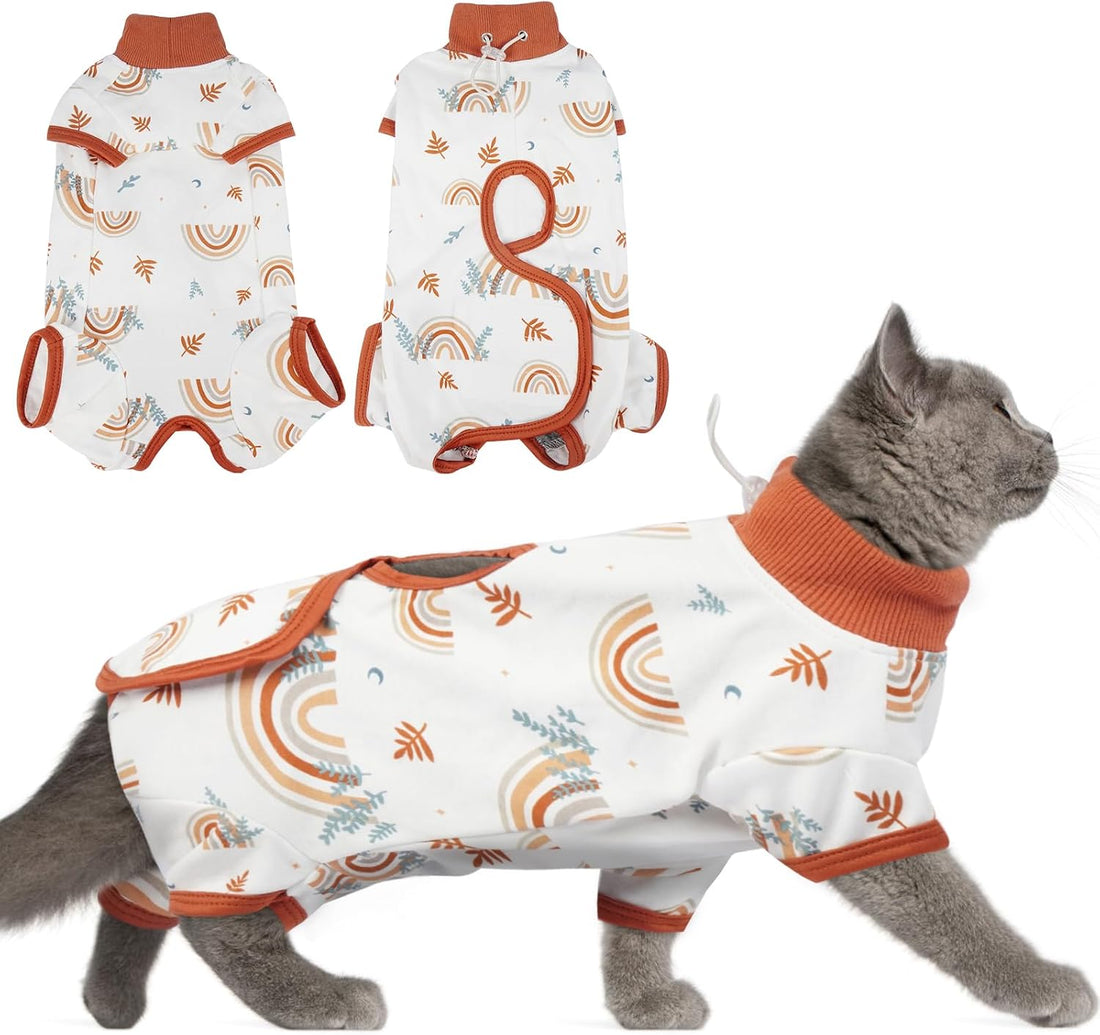 DENTRUN Cat Surgery Recovery Suit Female Male