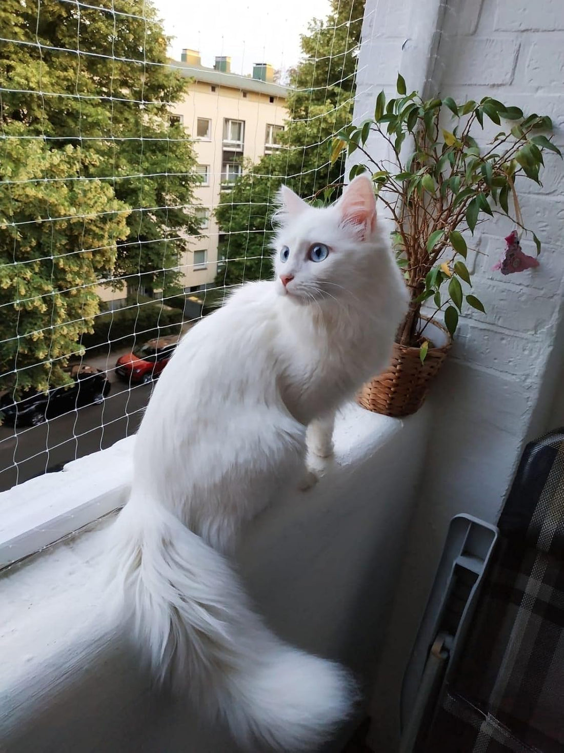 Cat Netting 10 * 13ft Cat Anti-Fall Net Duralble Nylon Balcony Screen