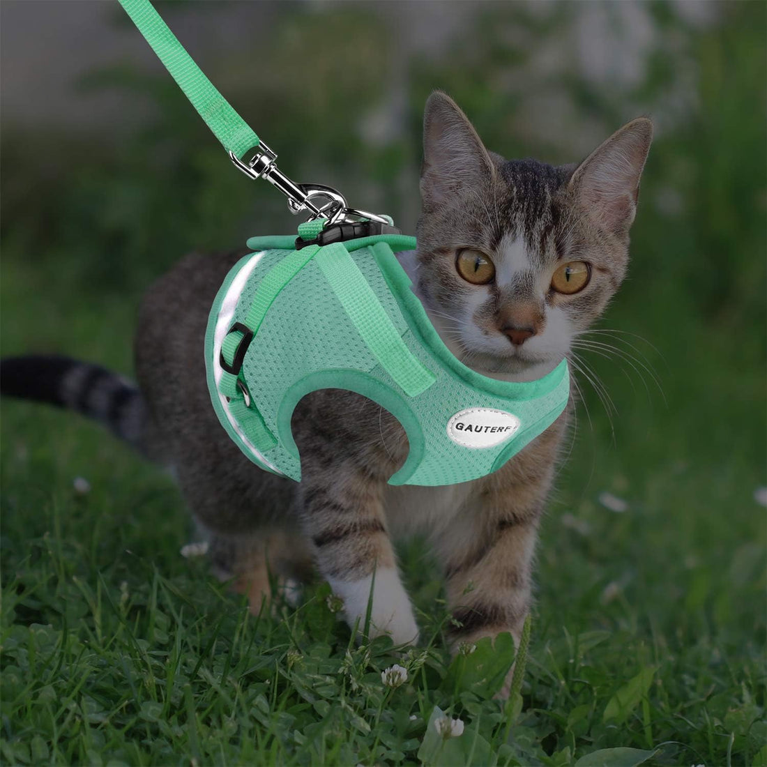 Cat Harness and Leash Set, Escape Proof Adjustable Soft Mesh Vest
