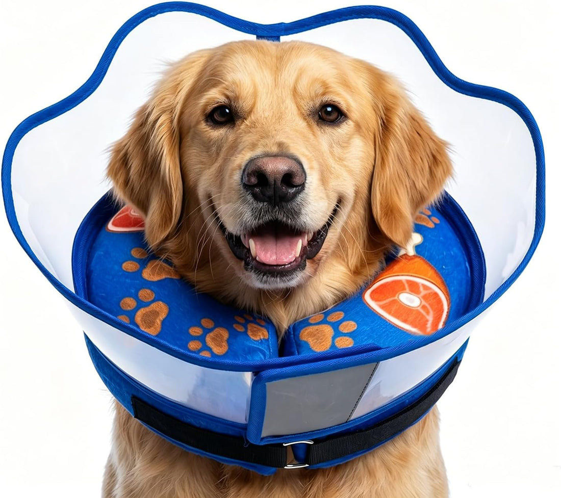 Inflatable Dog Cat Cone Collar with Transparent Shield for After