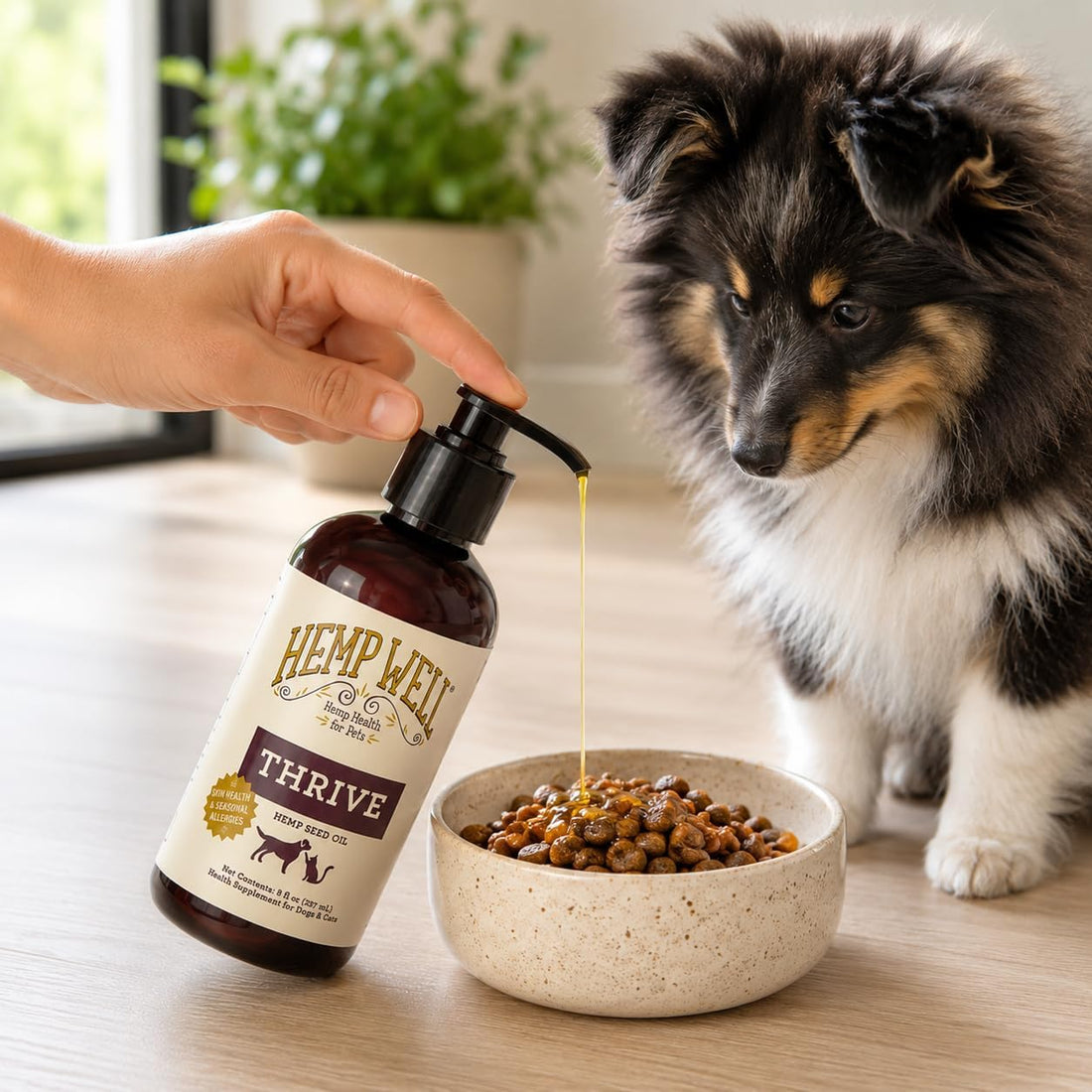 Hemp Well Thrive Oil for Dogs and Cats – Supports Hip, Joint