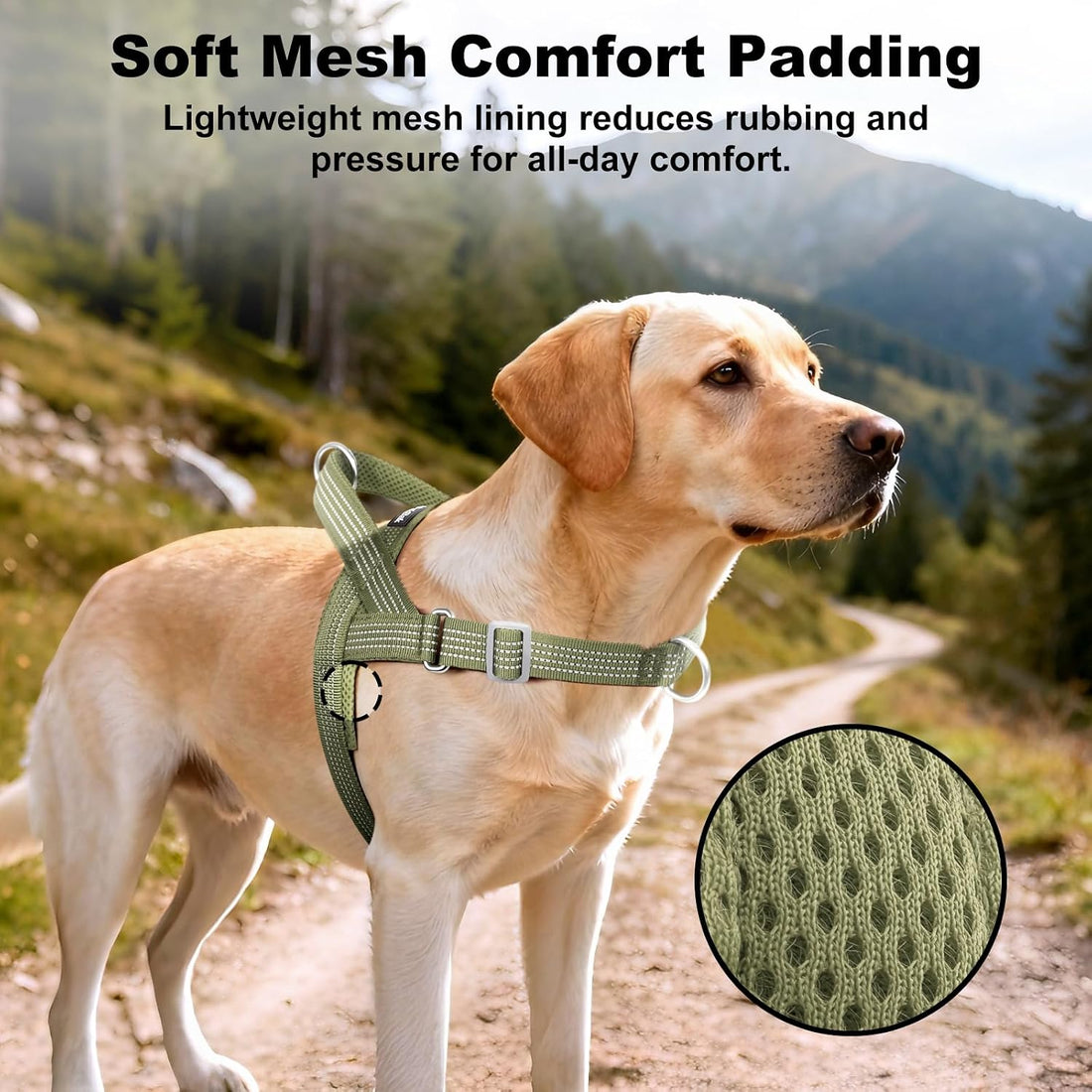 APakBak No Pull Dog Harness with Handle