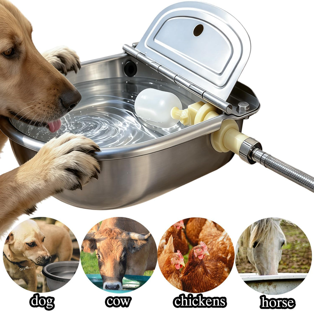 Automatic Water Dispenser Dog Water Bowl 304 Stainless Large Pet