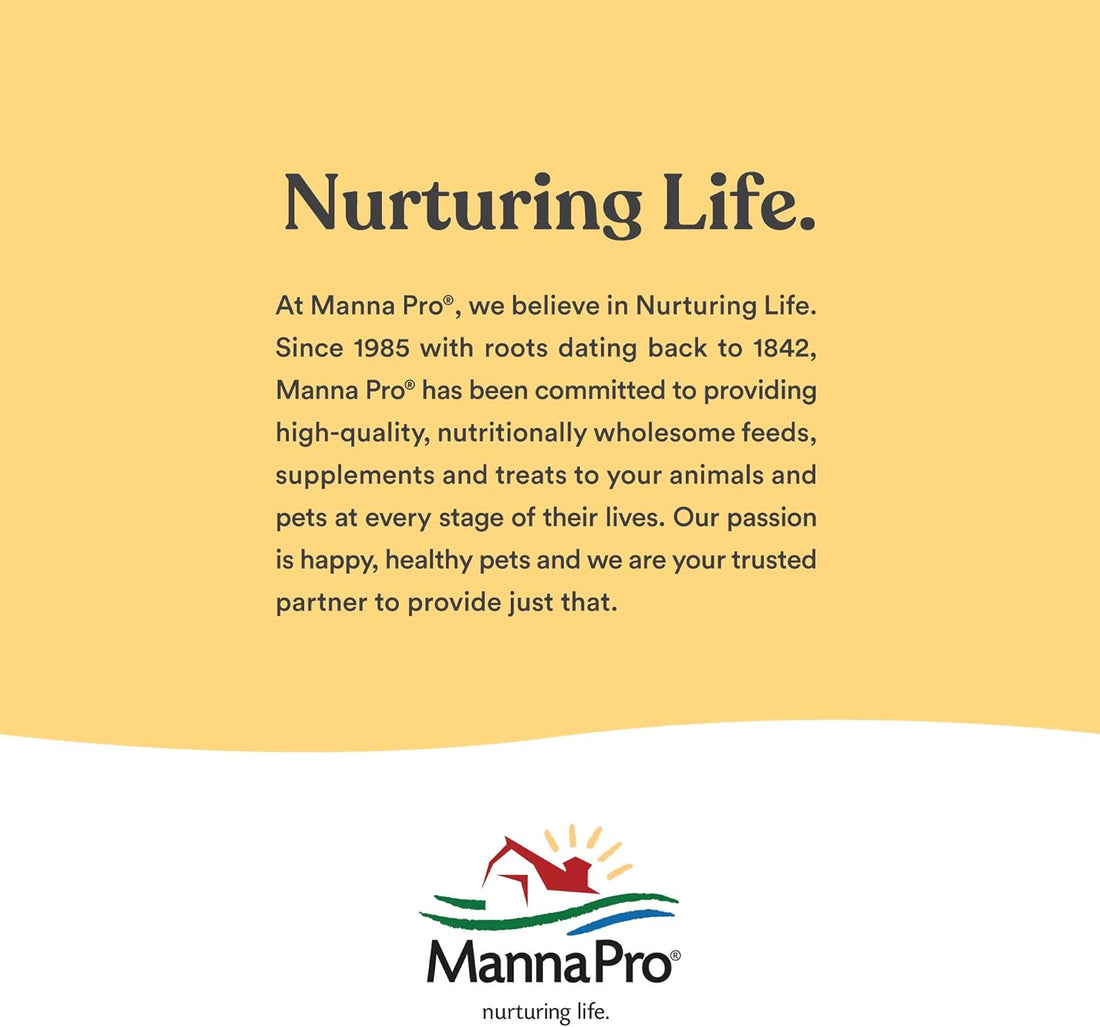 Manna Pro Hen Healer Multi-Purpose Ointment | Helps Support Healing