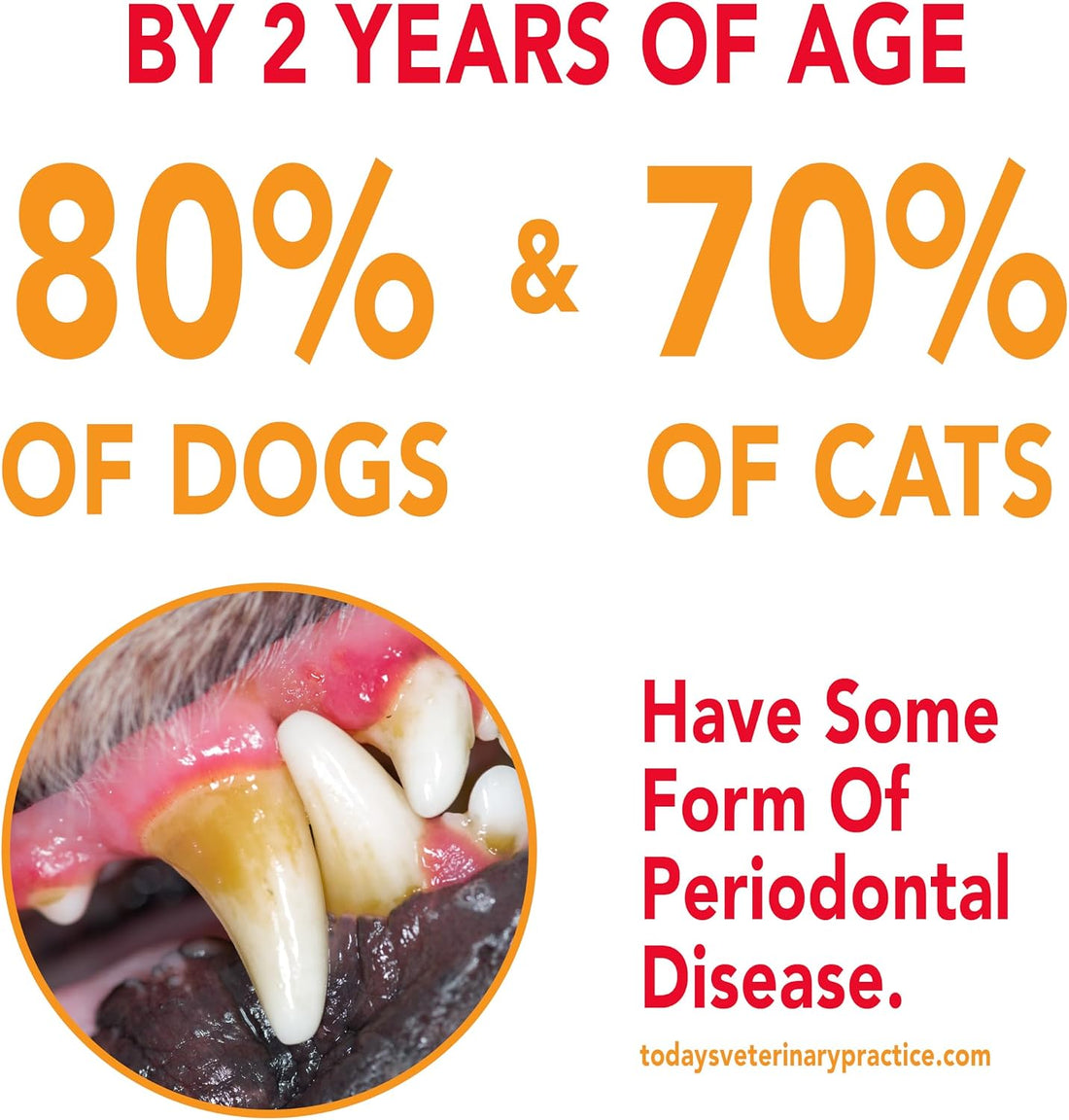 Petrodex Toothpaste for Dogs and Puppies