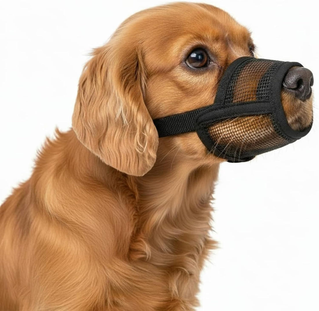 Dog Muzzle Medium Sized Dogs