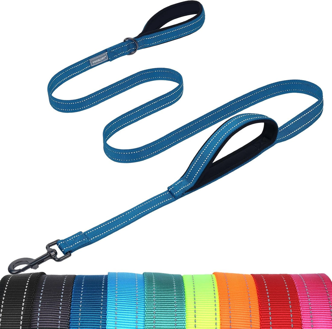 VIVAGLORY Double Handle Dog Leash Twingrip, 4ft x 1in