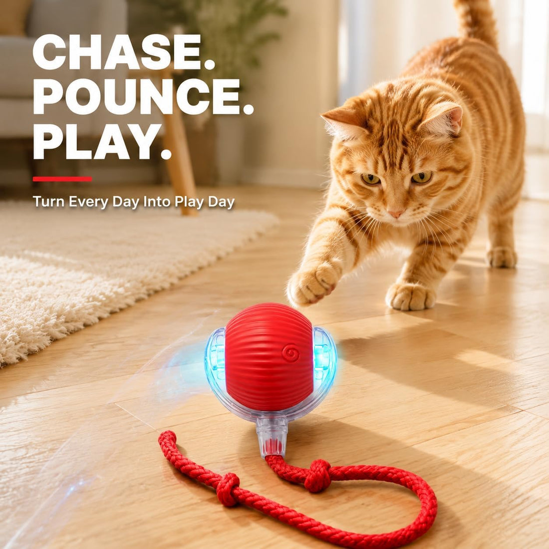 Rcxnm Interactive Cat Ball Toy with String