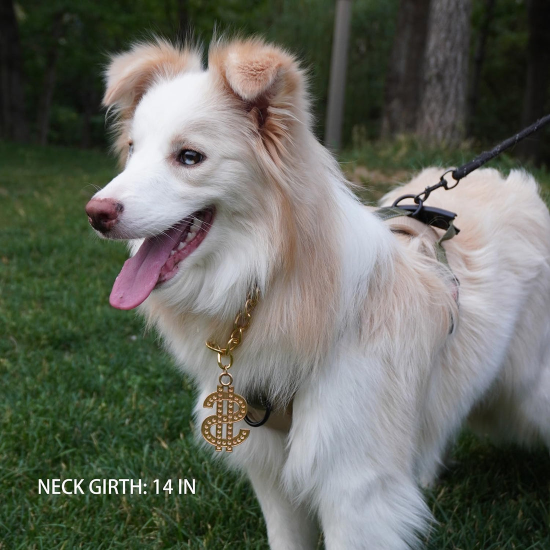 Cute Adjustable Pet Gold Chain with Dollar Pendant