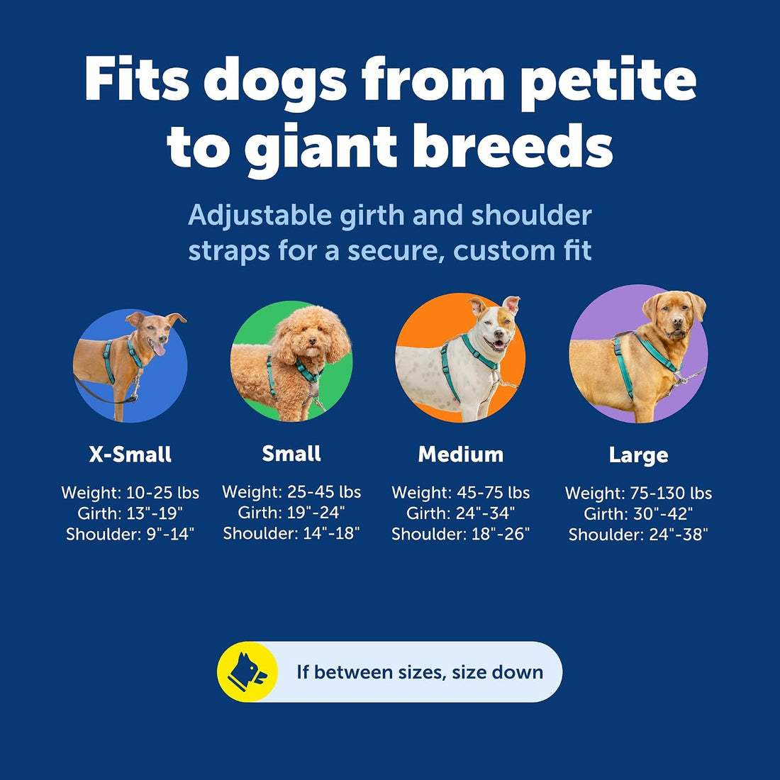 PetSafe 3 in 1 No-Pull Dog Harness - Walk, Train or Travel