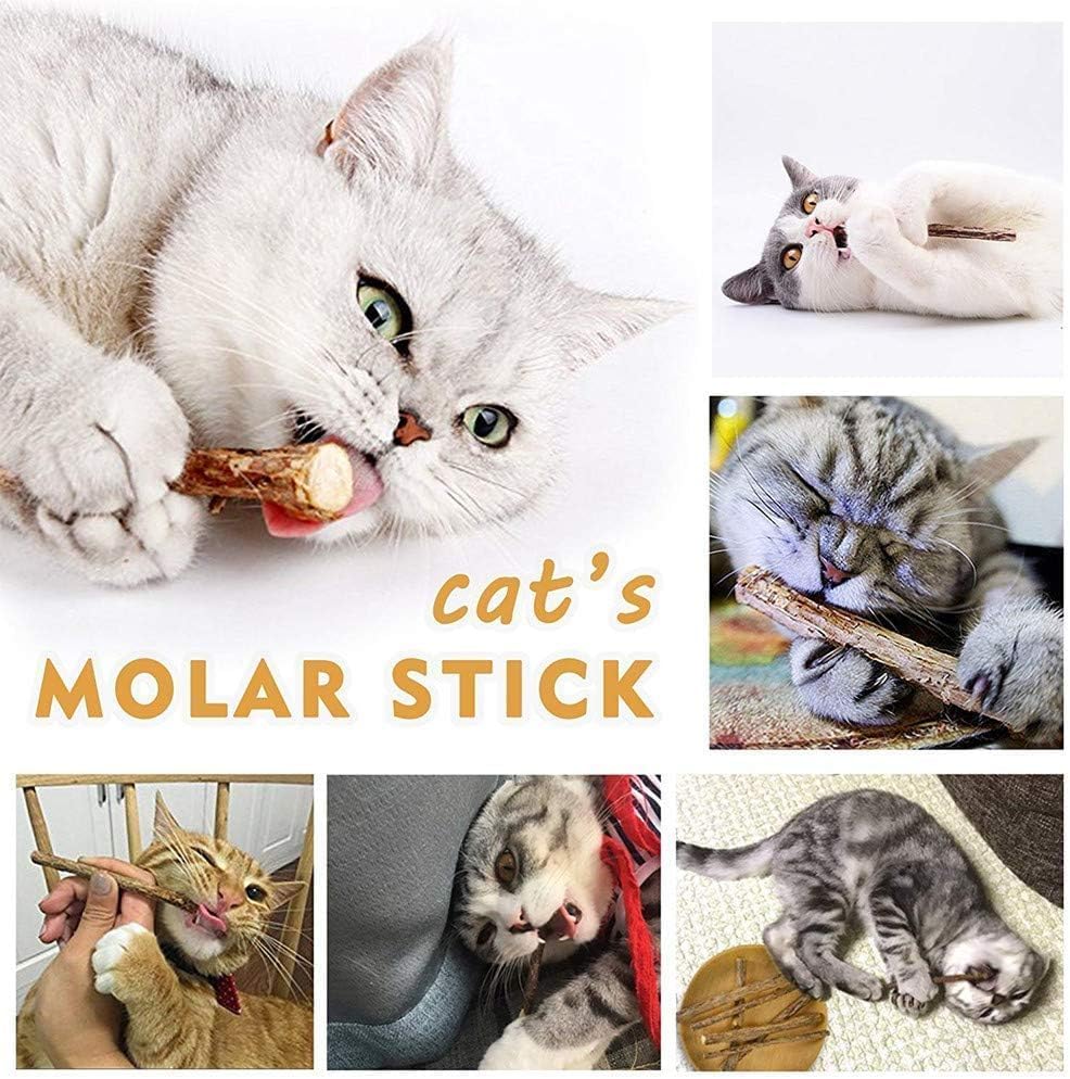 AILUKI 35 PCS Cat Toys Kitten Toys Assortments,Variety Catnip Toy Set