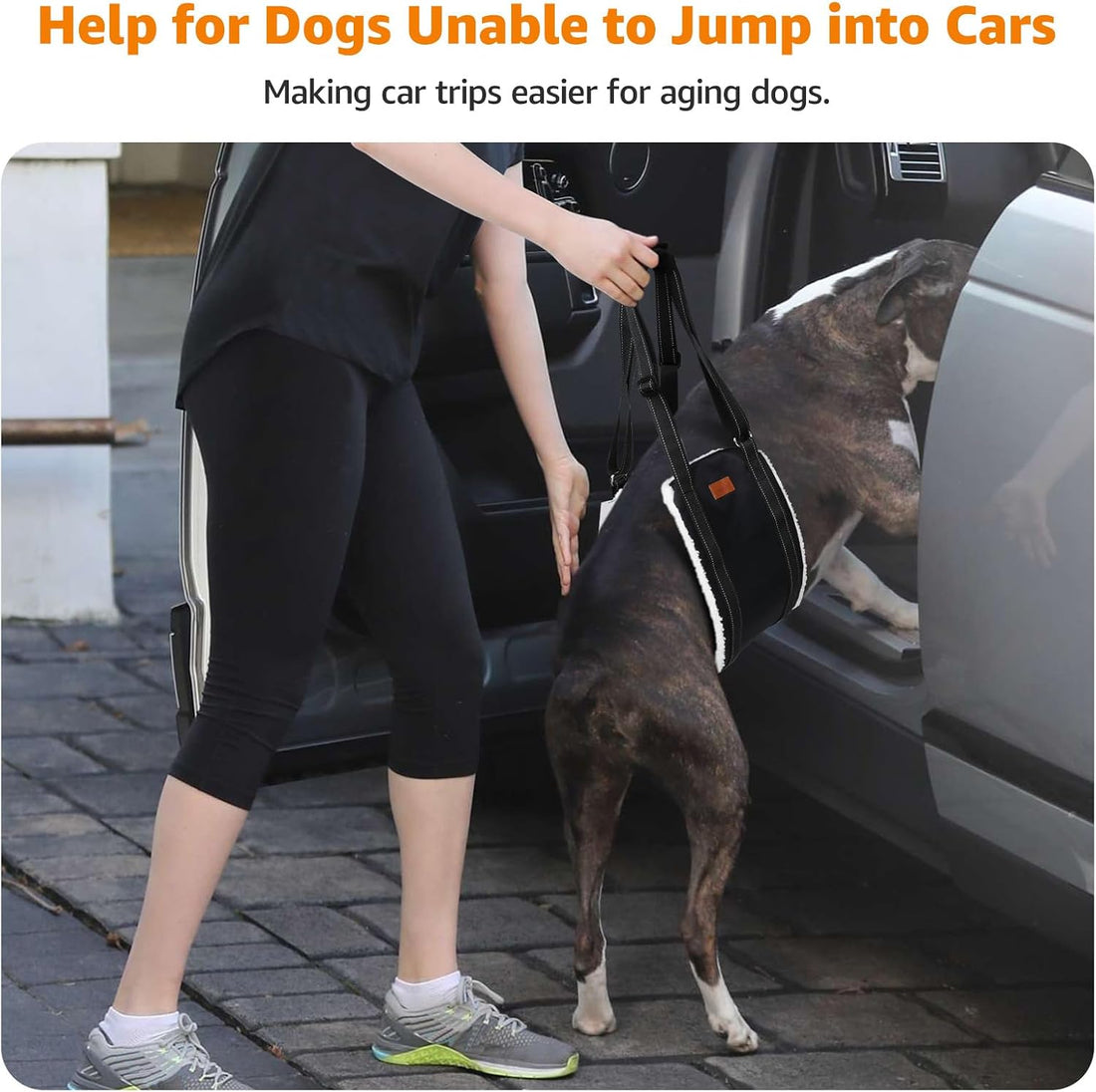 LOOBANI Portable Dog Sling for Back Legs