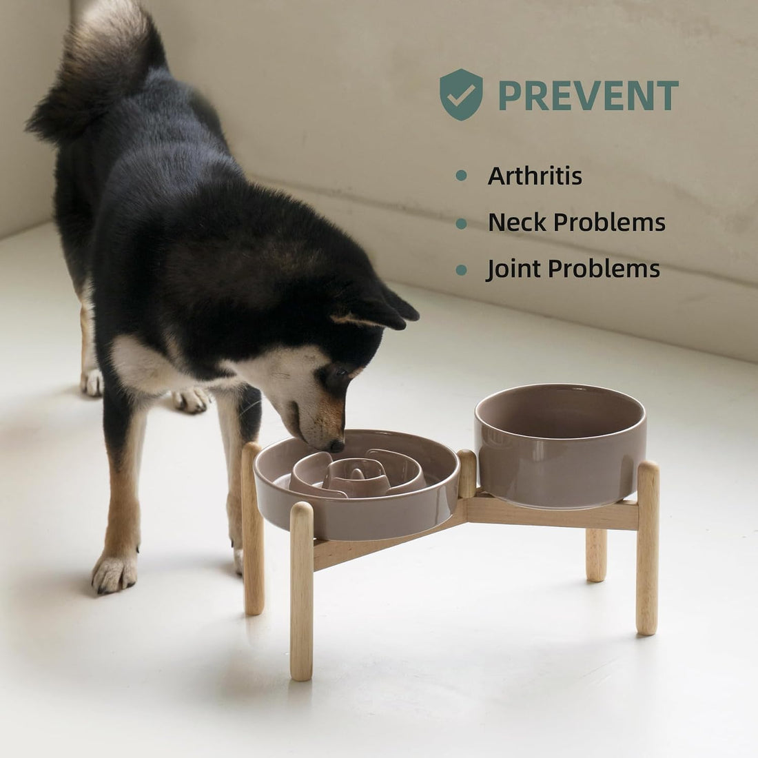 Havniva Elevated Slow Feeder Dog Bowls