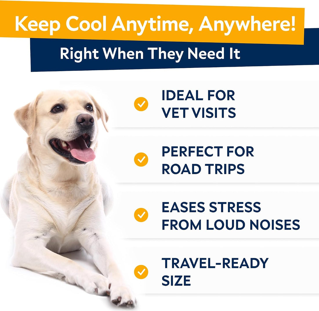Advanced Calming Chews for Dogs - Hemp Chews and Melatonin