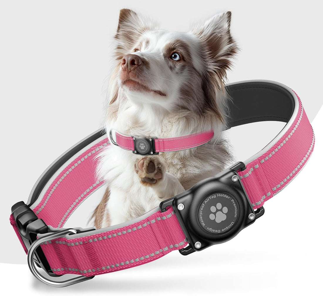 Upgrade Dog Collar with AirTag Holder, IP68 Waterproof, Blue, M