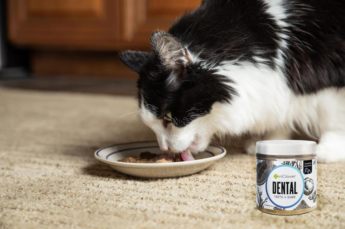 InClover Dog and Cat Dental Powder for Teeth Cleaning and Enamel