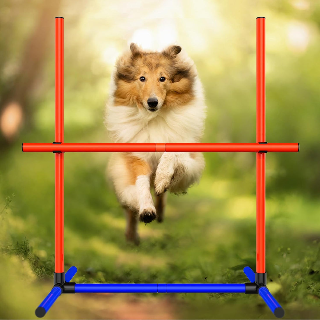 Dog Agility Set, Jump Ring, Jump Poles, Pause Box & Bag