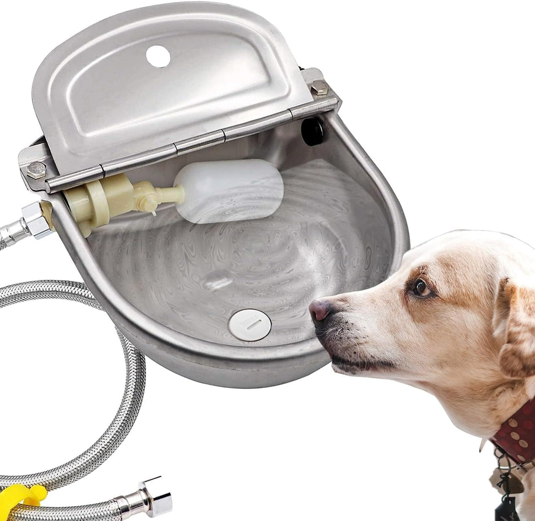 Automatic Dog Water Bowl Dispenser Large Pet Waterer Feeder