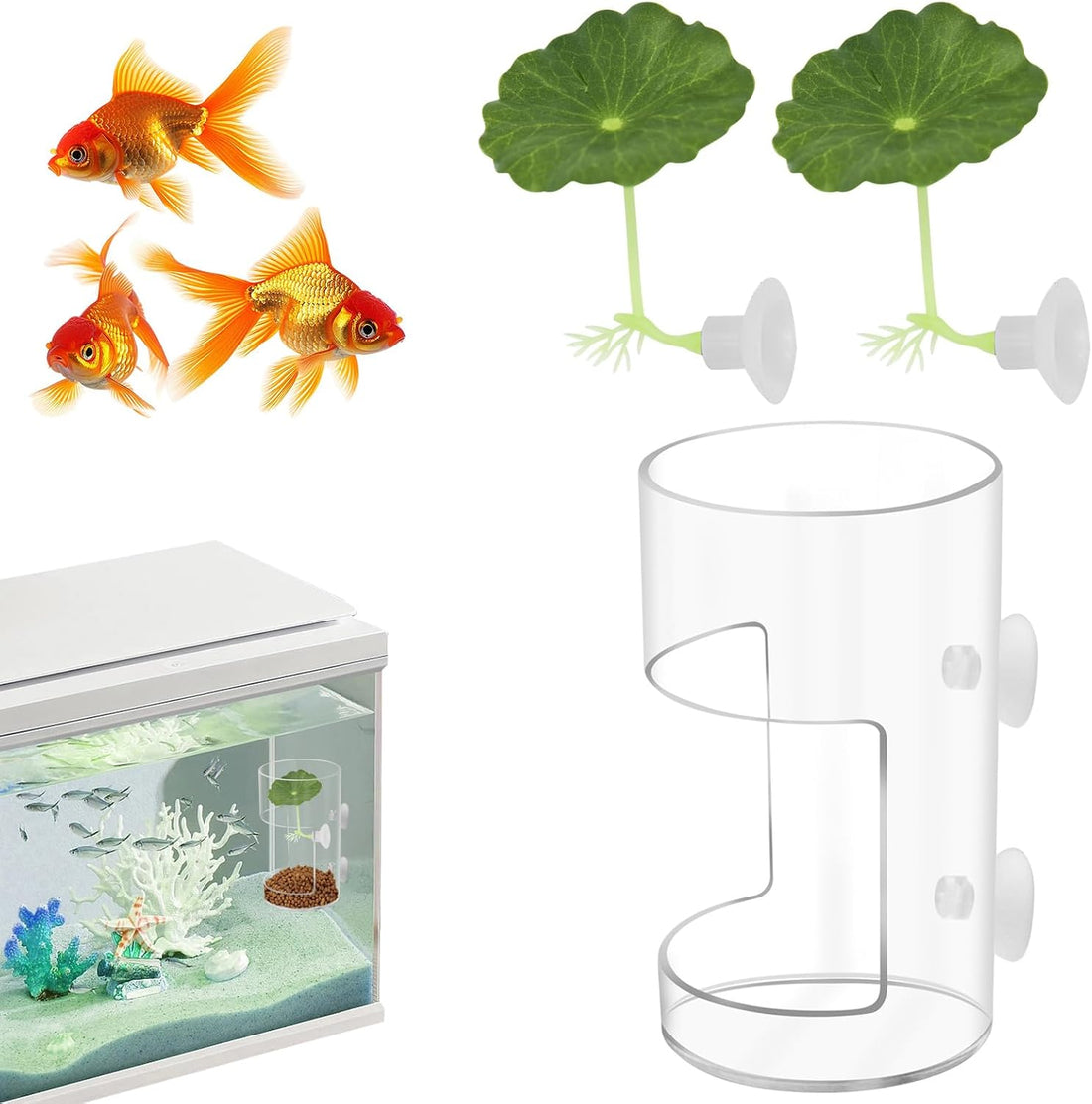 2Pcs Aquarium Fish Feeder Feeding Tray with Suction Cup